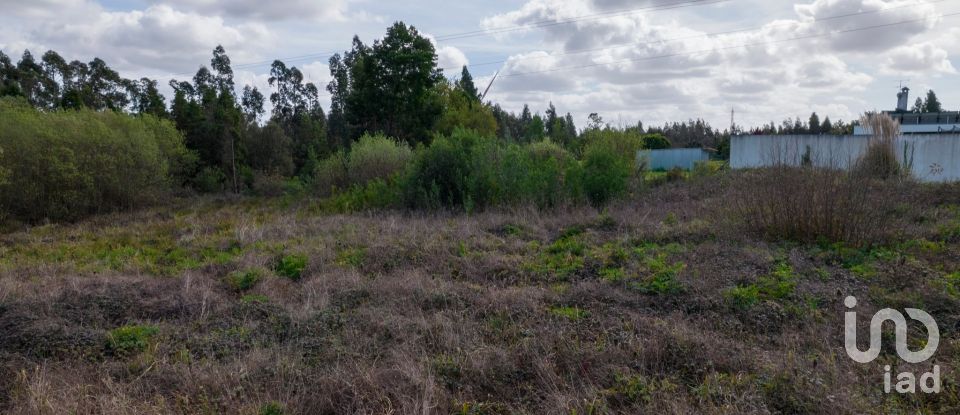 Terrain à Oliveirinha de 737 m²