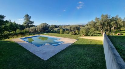 Ferme T3 à Castelo Branco de 21 250 m²