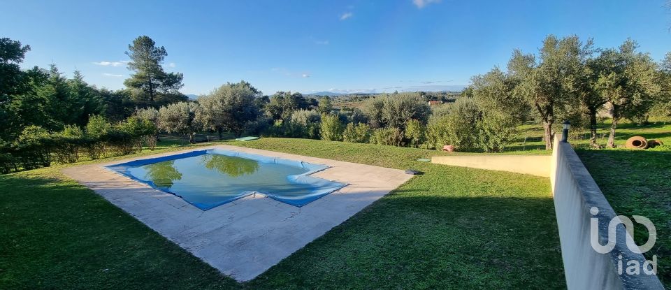 Farm T3 in Castelo Branco of 21,250 m²