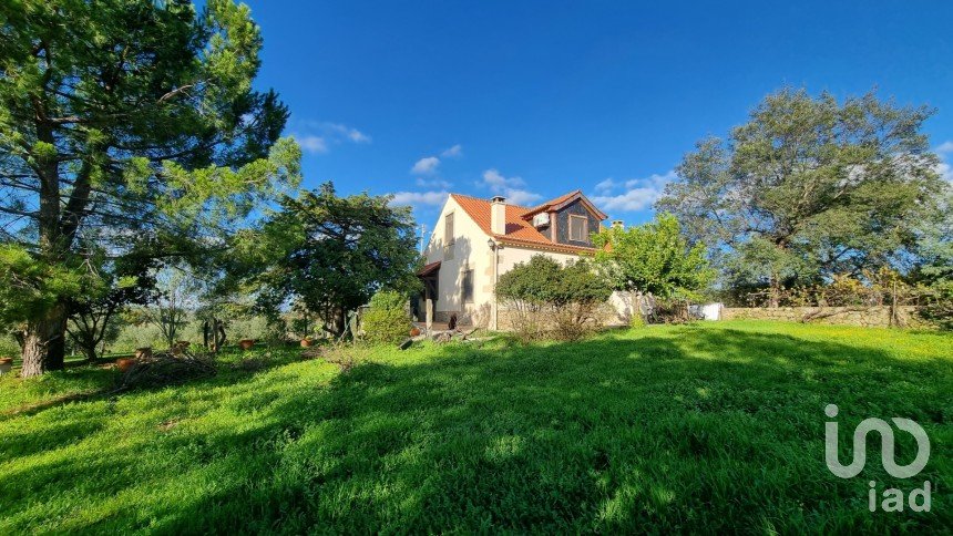 Farm T3 in Castelo Branco of 21,250 m²