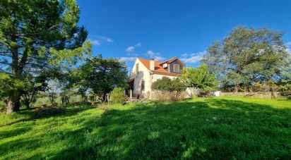 Ferme T3 à Castelo Branco de 21 250 m²