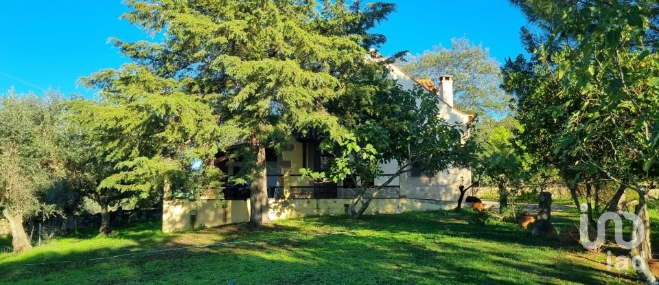 Farm T3 in Castelo Branco of 21,250 m²