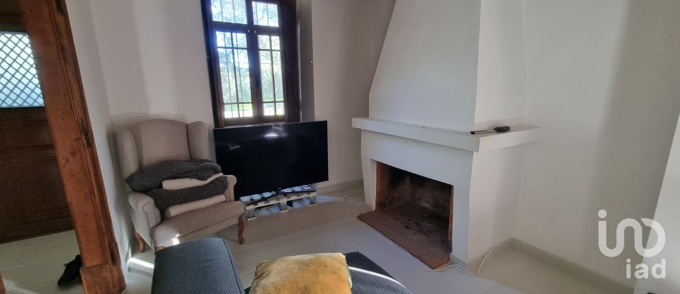 Farm T3 in Castelo Branco of 21,250 m²