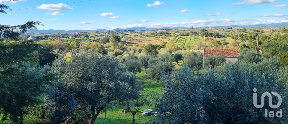 Farm T3 in Castelo Branco of 21,250 m²