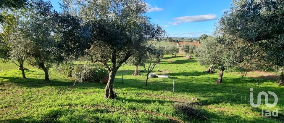 Farm T3 in Castelo Branco of 21,250 m²