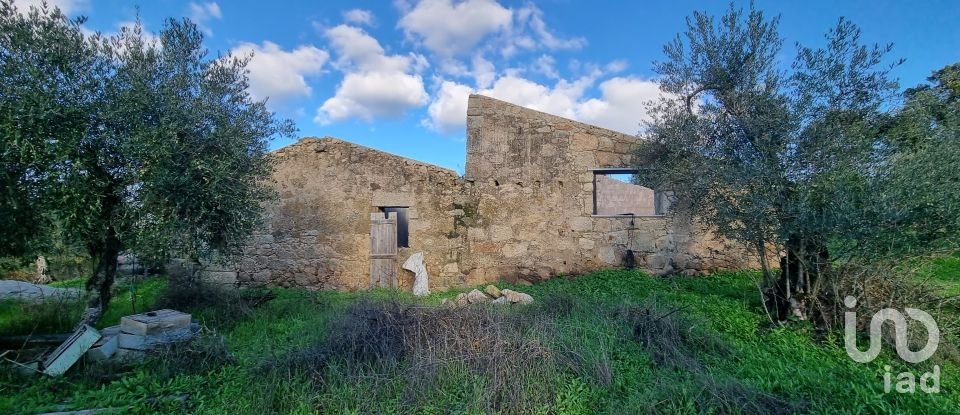 Farm T3 in Castelo Branco of 21,250 m²