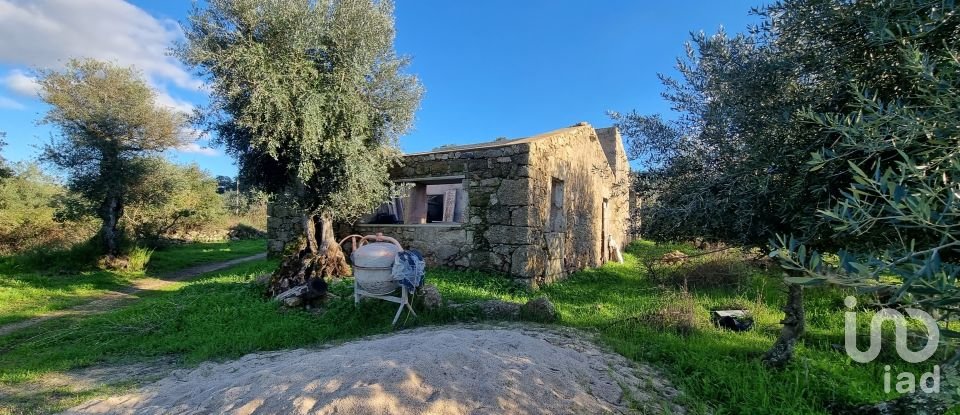 Farm T3 in Castelo Branco of 21,250 m²