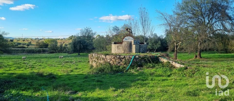 Farm T3 in Castelo Branco of 21,250 m²