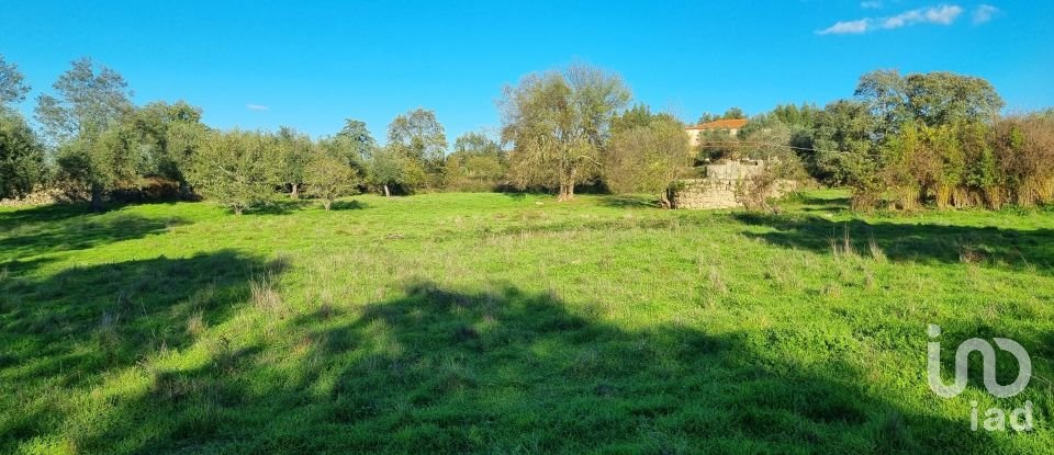 Farm T3 in Castelo Branco of 21,250 m²