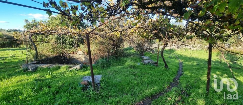 Farm T3 in Castelo Branco of 21,250 m²