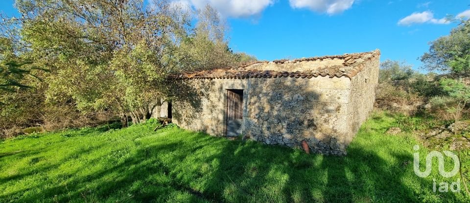 Farm T3 in Castelo Branco of 21,250 m²