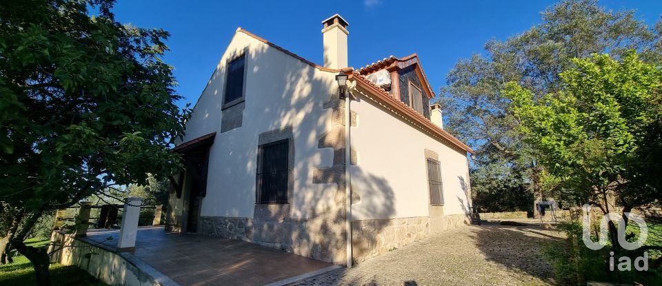 Farm T3 in Castelo Branco of 21,250 m²