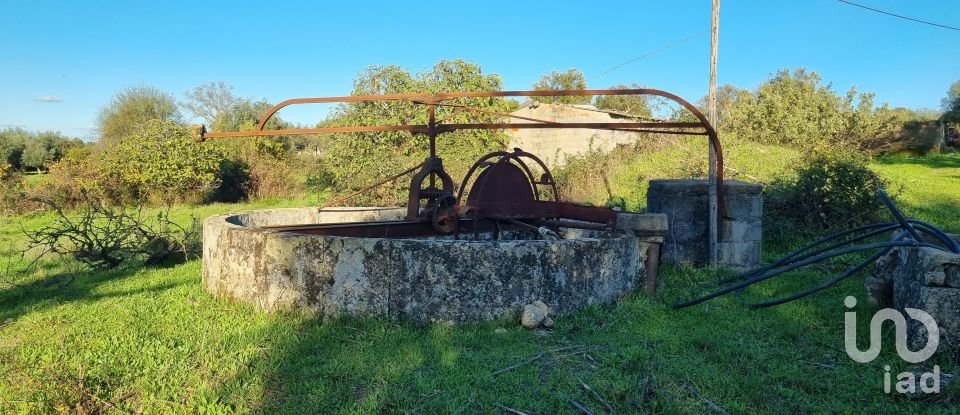 Farm T3 in Castelo Branco of 21,250 m²