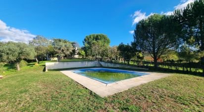 Ferme T3 à Castelo Branco de 21 250 m²