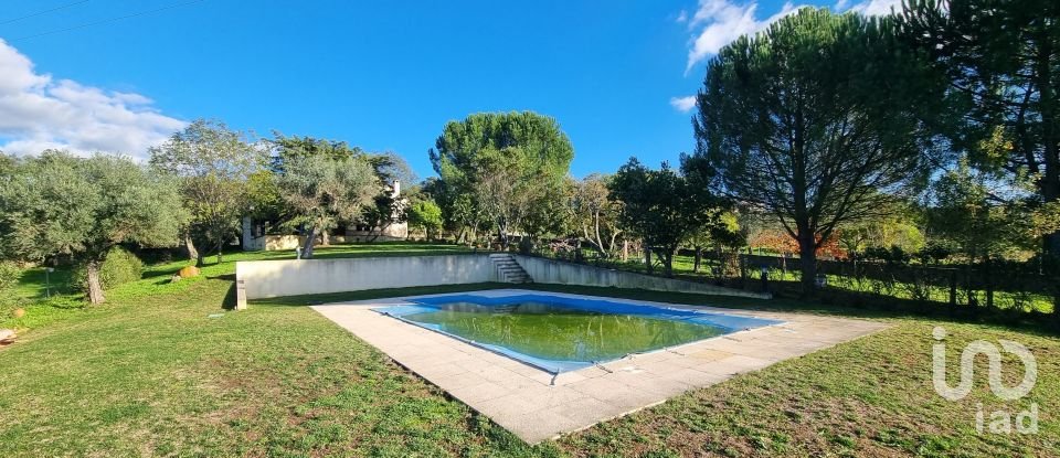 Farm T3 in Castelo Branco of 21,250 m²