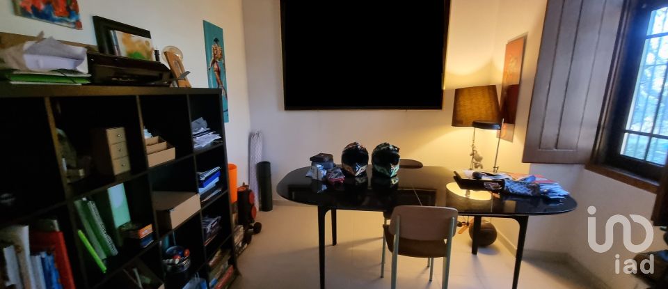 Farm T3 in Castelo Branco of 21,250 m²