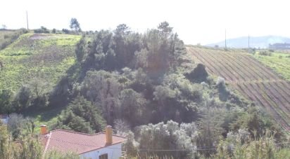Land in Turcifal of 6,866 m²