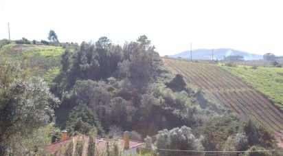 Land in Turcifal of 6,866 m²