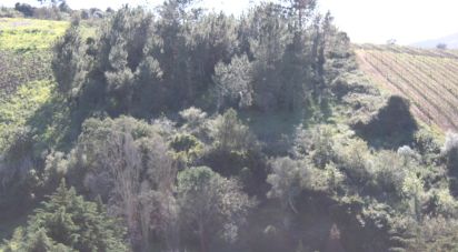 Land in Turcifal of 6,866 m²