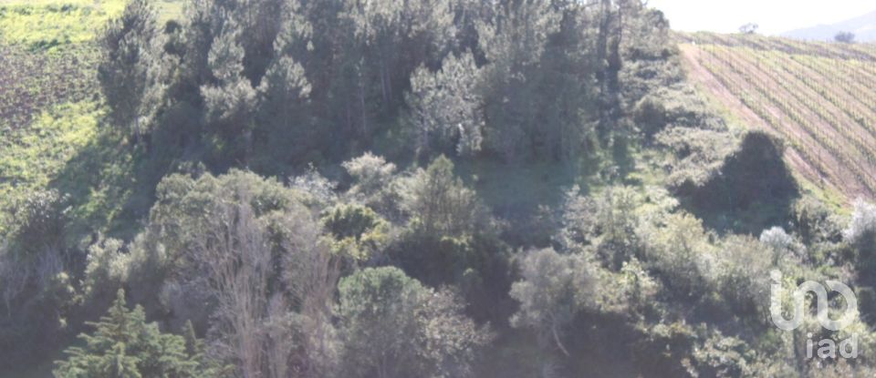 Terreno em Turcifal de 6 866 m²