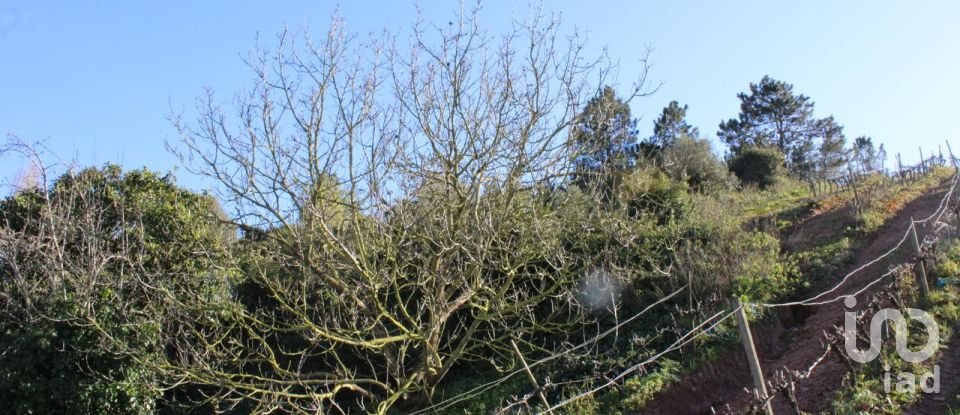 Terreno em Turcifal de 6 866 m²