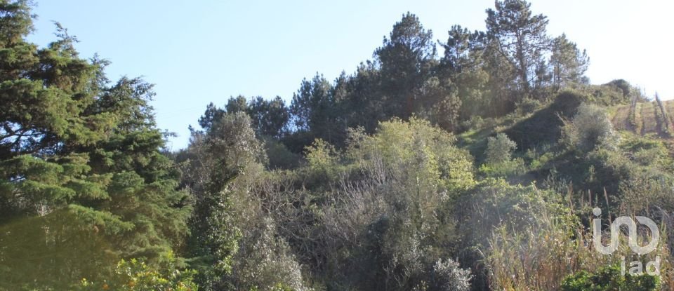 Terreno em Turcifal de 6 866 m²