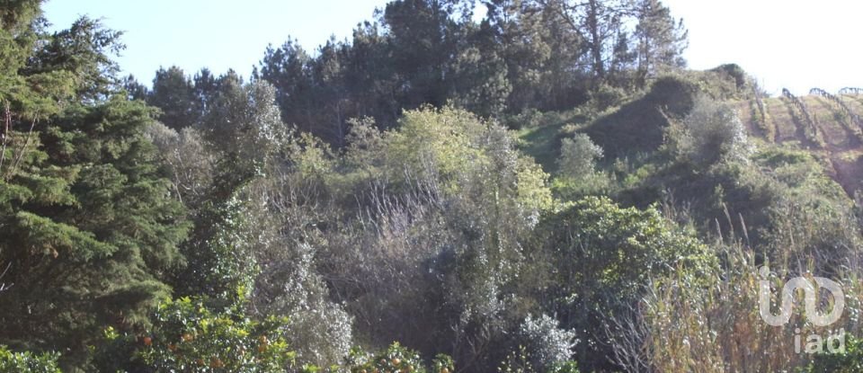 Terreno em Turcifal de 6 866 m²