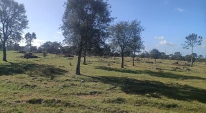 Terrain agricole à Pegões de 332 860 m²