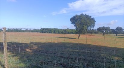 Terreno Agrícola em Pegões de 309 579 m²