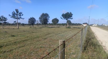 Agricultural land in Pegões of 332,860 sq m