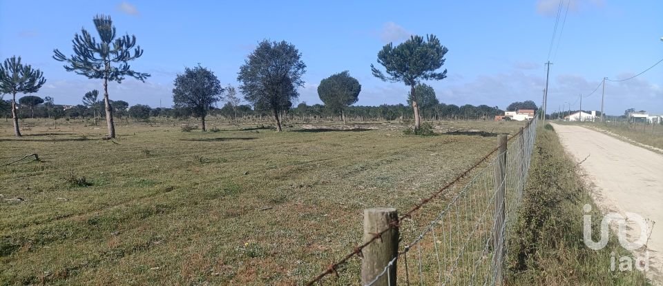 Terrain agricole à Pegões de 309 579 m²