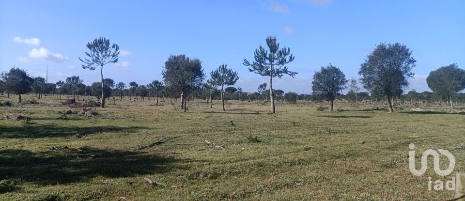 Terreno Agrícola em Pegões de 332 860 m²