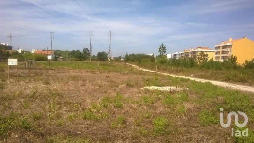 Terrain à Marinha Grande de 9 120 m²