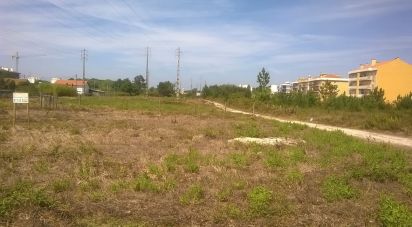 Terrain à Marinha Grande de 9 120 m²