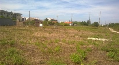 Terrain à Marinha Grande de 9 120 m²