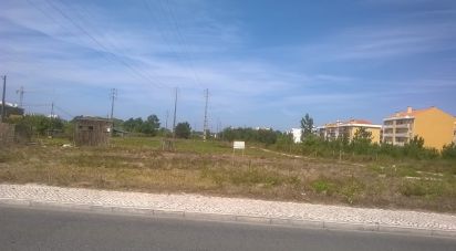 Terrain à Marinha Grande de 9 120 m²