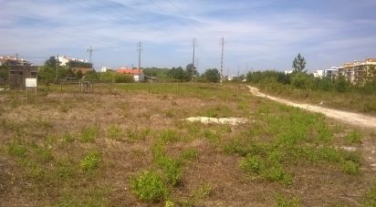 Terrain à Marinha Grande de 9 120 m²