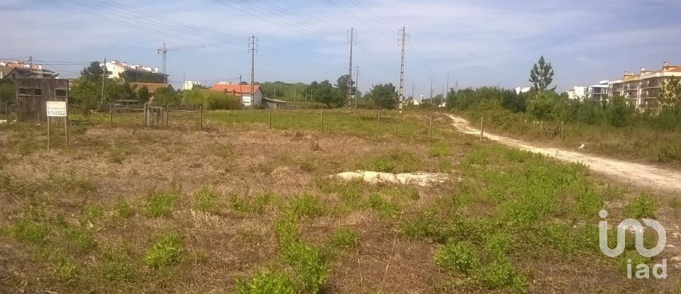 Terrain à Marinha Grande de 9 120 m²