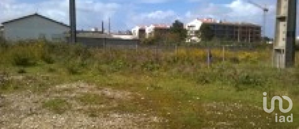 Terrain à Marinha Grande de 9 120 m²