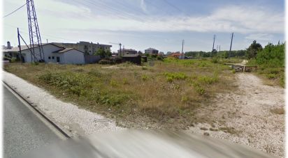 Terrain à Marinha Grande de 9 120 m²