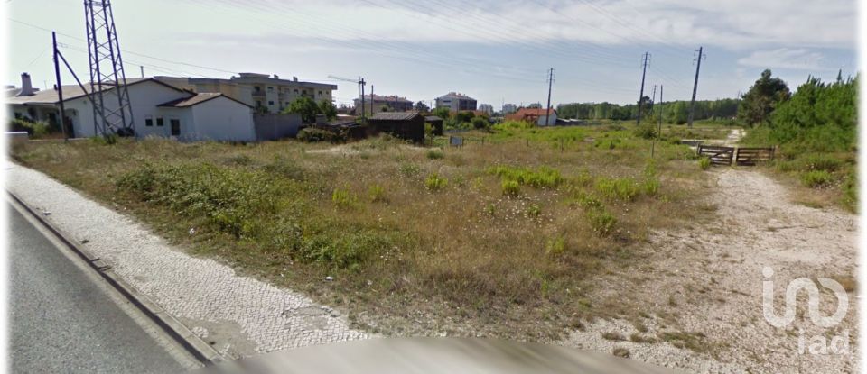 Terrain à Marinha Grande de 9 120 m²