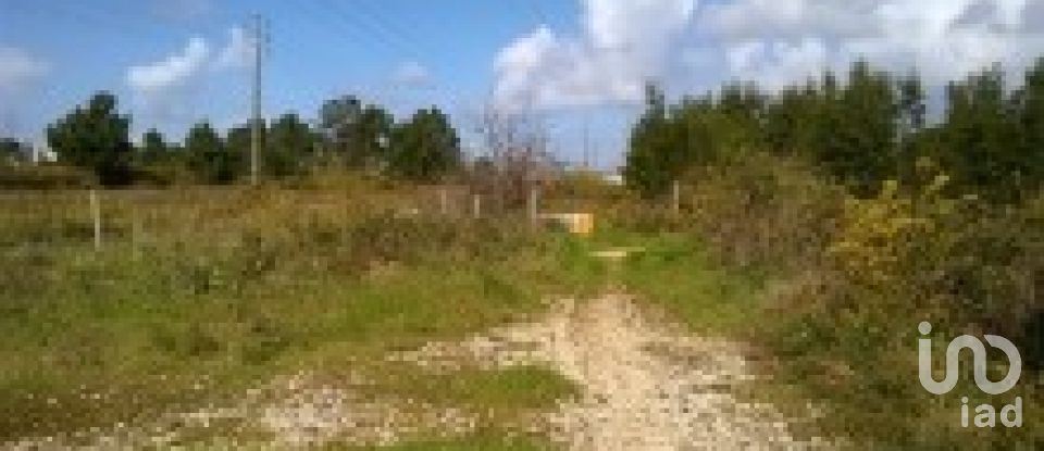 Terrain à Marinha Grande de 9 120 m²