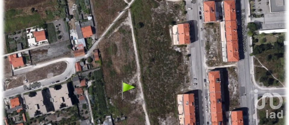 Terrain à Marinha Grande de 9 120 m²