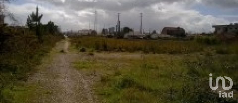 Terrain à Marinha Grande de 9 120 m²