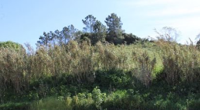 Land in Turcifal of 4,400 m²