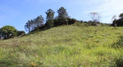 Land in Turcifal of 4,400 m²