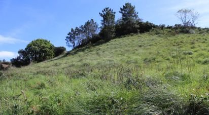 Land in Turcifal of 4,400 m²