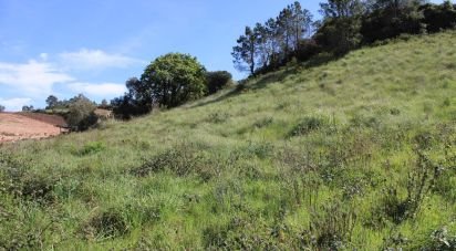 Land in Turcifal of 4,400 m²