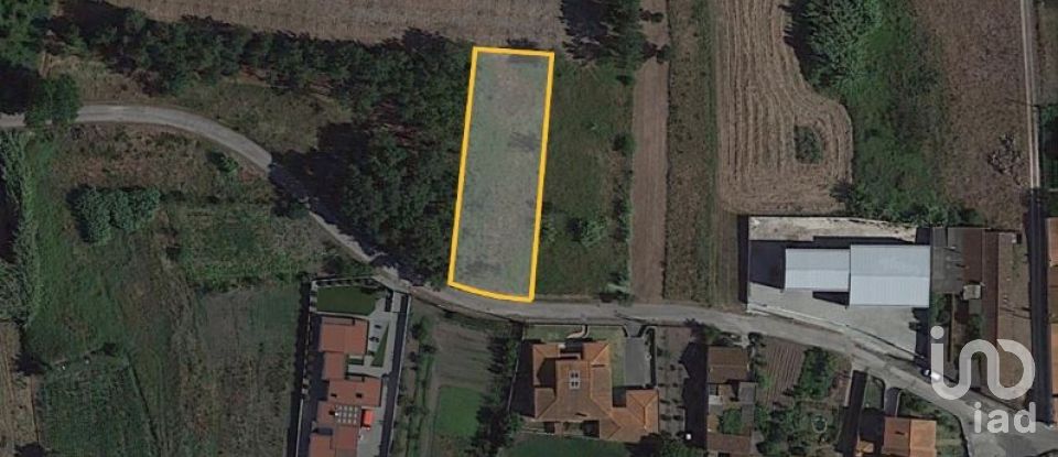 Terreno para construção em Monte Real e Carvide de 1 000 m²