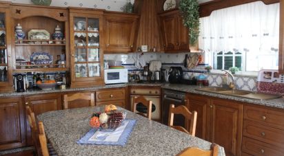 Village house T4 in Fontes of 360 m²
